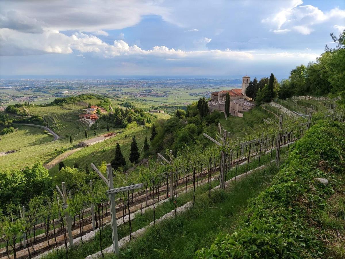 Il Glicine Rosa Hotel Parona di Valpolicella Kültér fotó